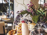 #See: Hertex HAUS reopens reimagined Bellville Showroom