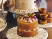 #See: Hertex HAUS reopens reimagined Bellville Showroom